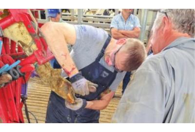 Hoof Health: Start with clean dry hooves