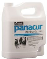 Panacur Suspension  Dewormer (1 Gallon)