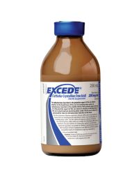 Excede [250 mL]