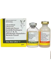 One Shot Ultra 7 - 20 mL (10 Doses)