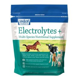 Electrolyte Plus Multi Species Supplement [6 lb]