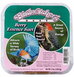 Berry Essence Suet [11 oz.] (12 Count)