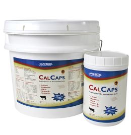 CalCaps 300 Count