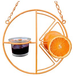 Clementine Oriole Feeder