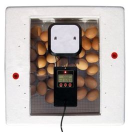 Digital Still Air Incubator 2150