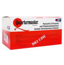 Quartermaster (12 Count)