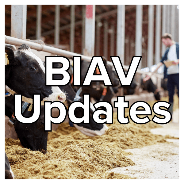 biav-updates