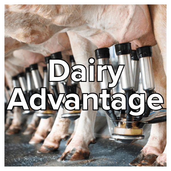 dairy-advantage