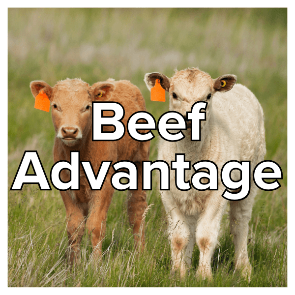 beef-advantage