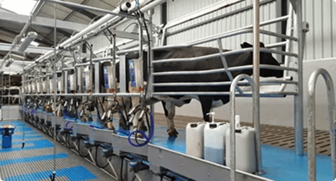 Milk Parlor Hygiene