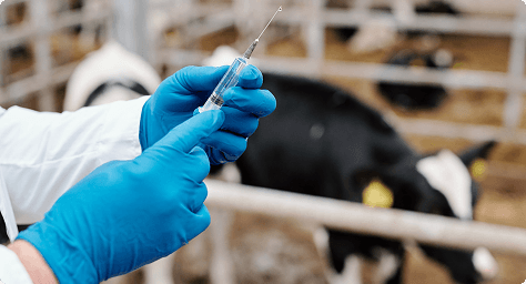 Mastitis Control